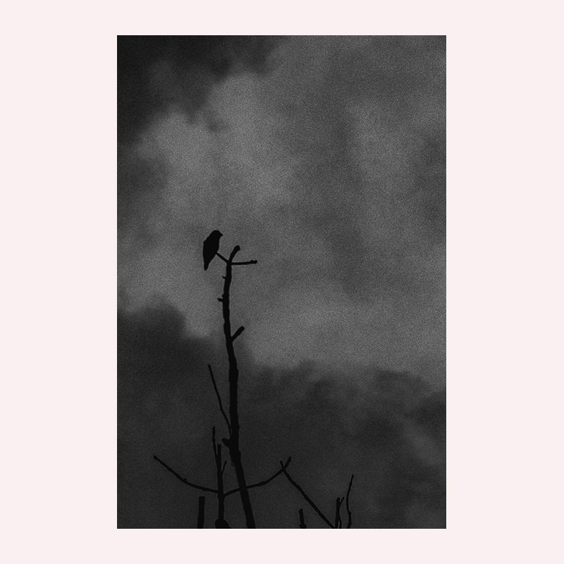 Untitled #0038