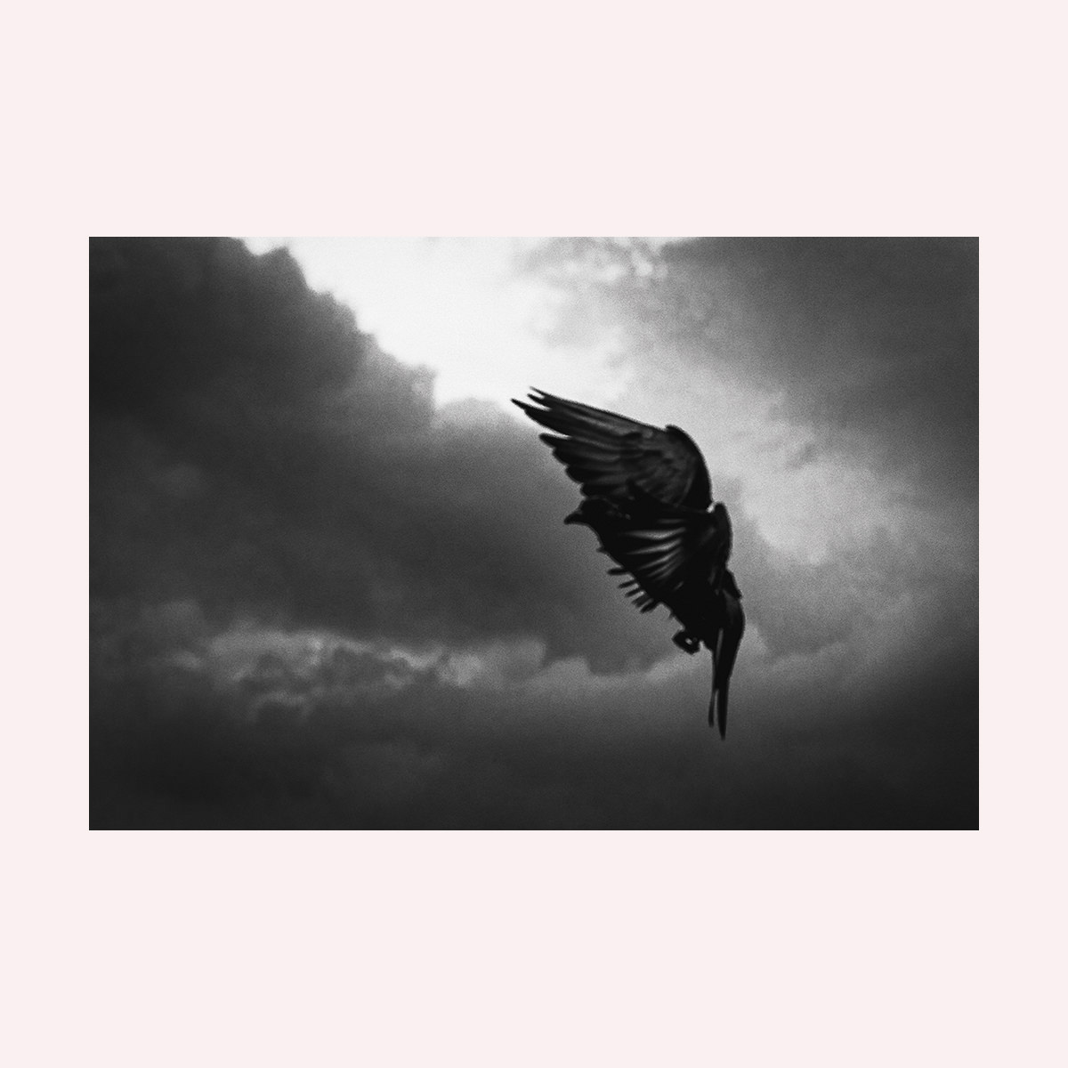 Untitled #0985 — Paul Lukin