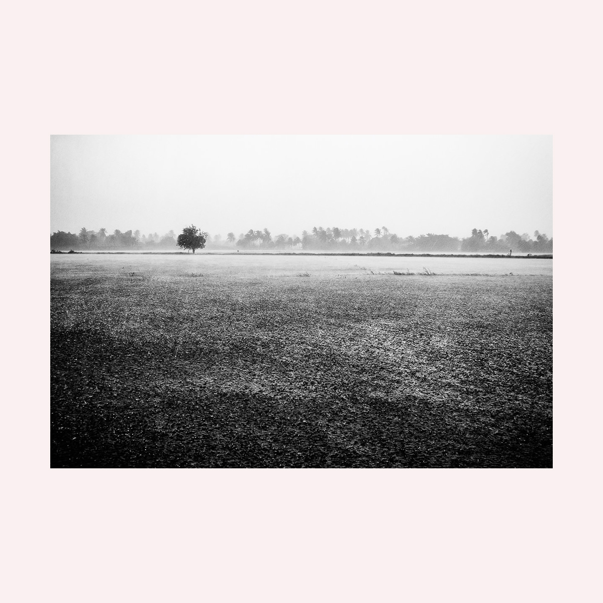 Untitled #1007 — Paul Lukin