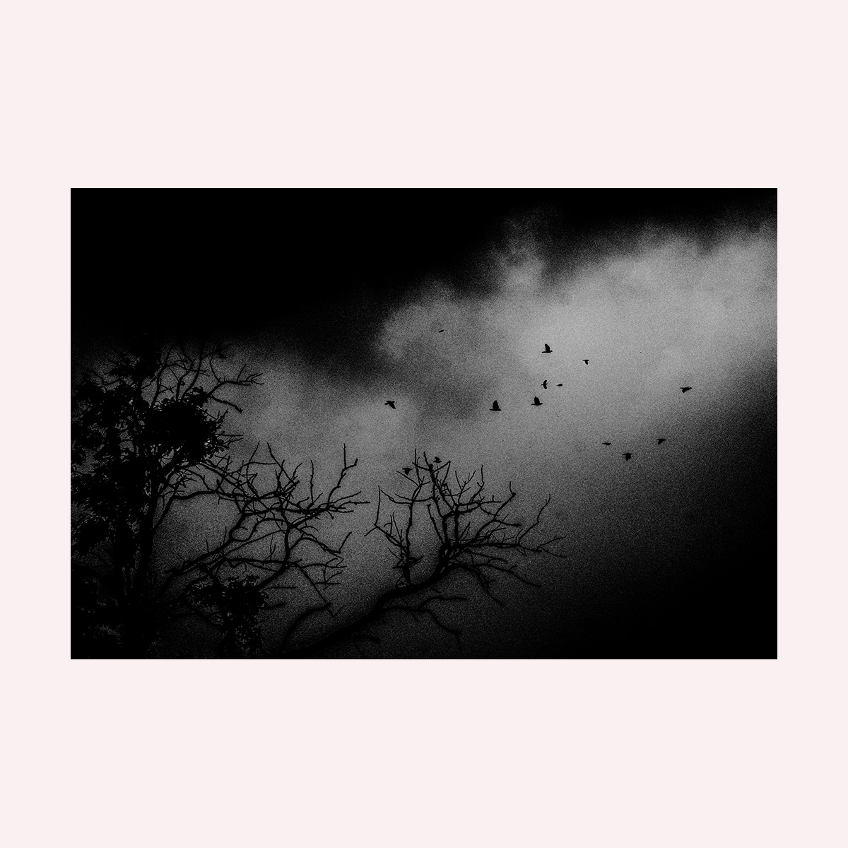 Untitled #3239 — Paul Lukin