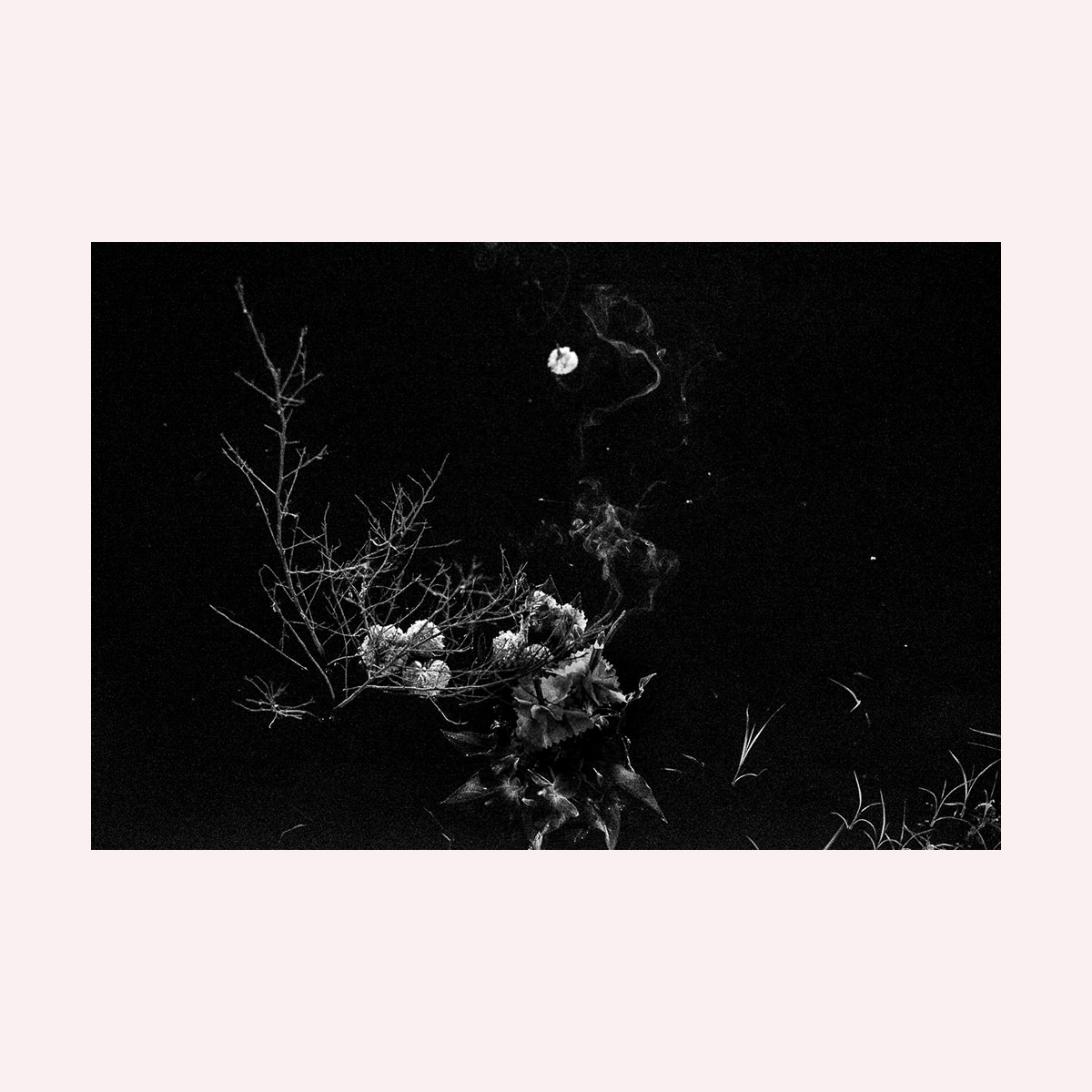 Untitled #6287 — Paul Lukin