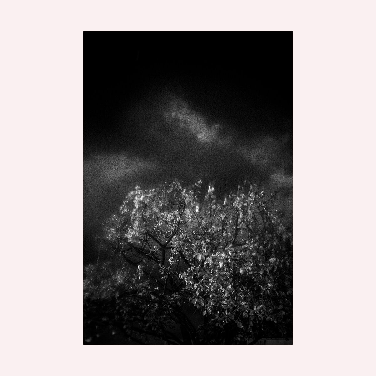 Untitled #6414 — Paul Lukin