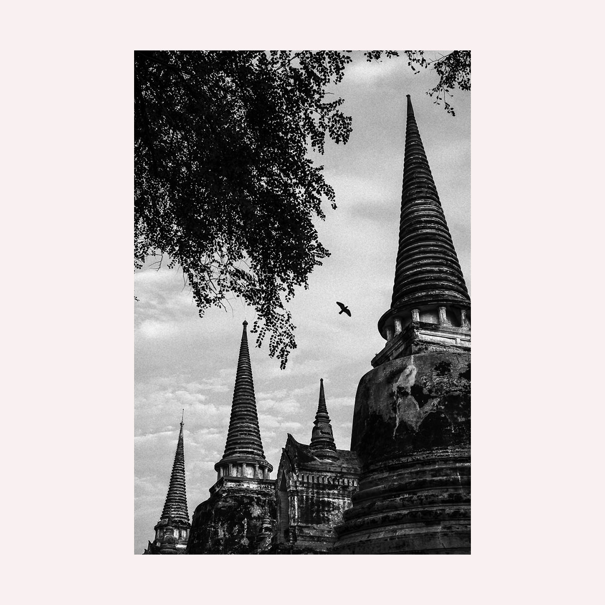 Untitled #9050 — Paul Lukin